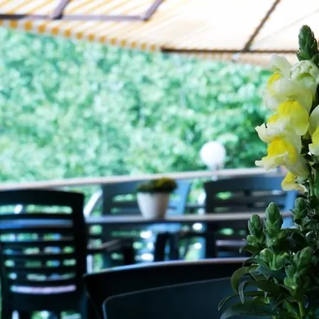 Hotel Cafe Waldeck *